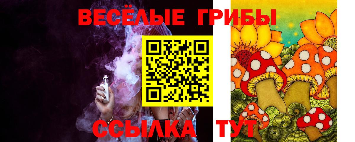 Галлюциногенные грибы Cubensis Всеволожск