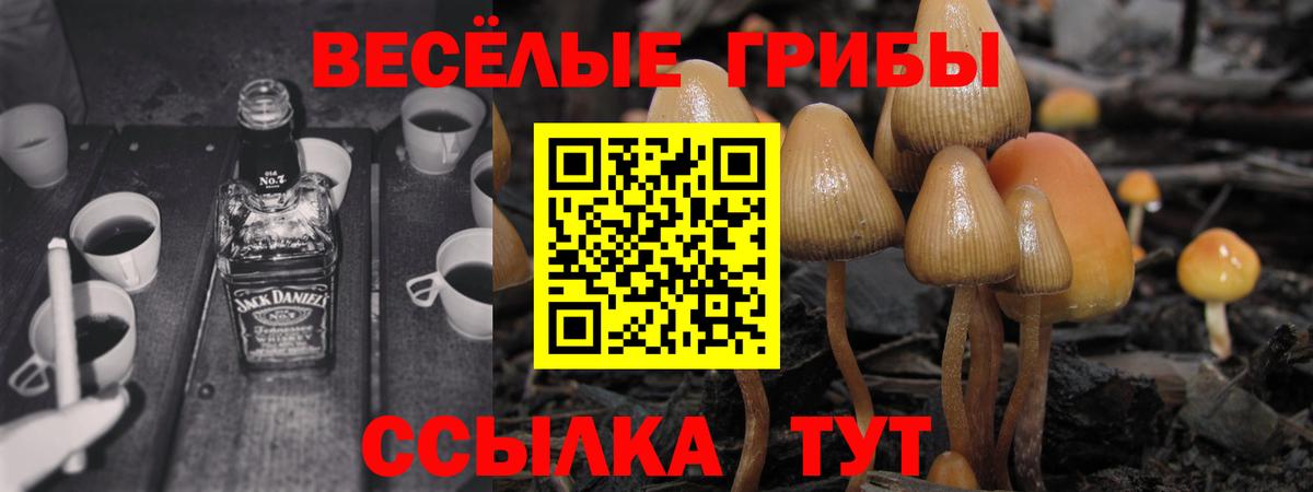 Всеволожск  Галлюциногенные грибы ЛСД  Вход с VPN 